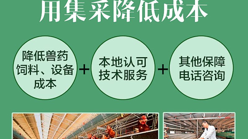 离心管材质PP和PS：揭秘两种常见材质的优缺点与应用场景